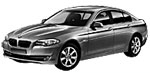BMW F10 P121F Fault Code